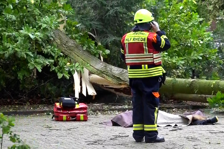 Orkan "Poly": Fußgängerin von Baum erschlagen - tot