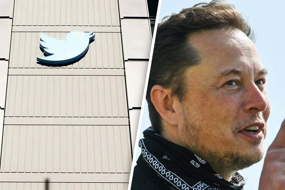 Elon Musk: Nach Twitter-Umfrage: Nutzer fordern Elon Musks Rücktritt!