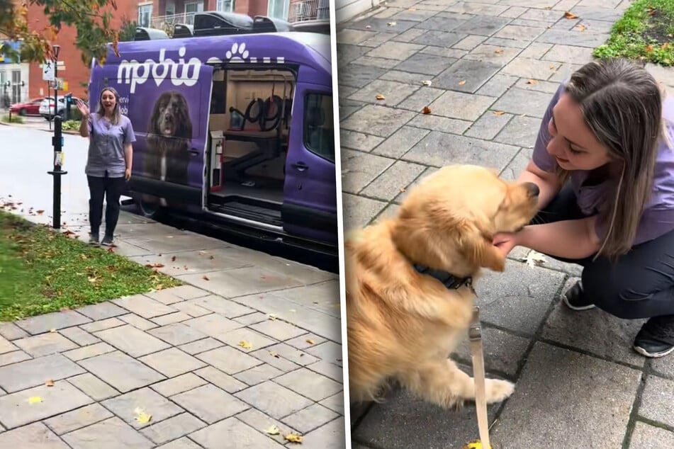 Die Hundefriseurin ist Charlies Albtraum. Trotzdem darf sie ihn streicheln. In ihren Van will er aber auf keinen Fall.