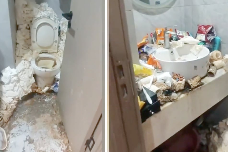 Góra zużytego papieru toaletowego: Stan łazienki jest prawie nie do pobicia pod względem odrażającej okropności.