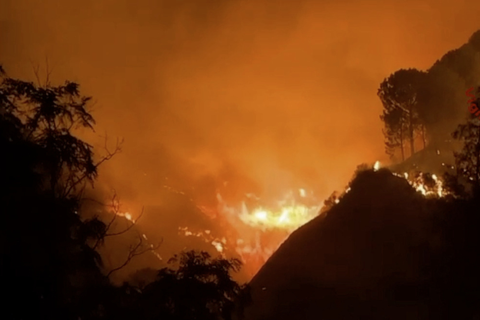 Die Wälder Siziliens sind in ein Flammenmeer gehüllt.