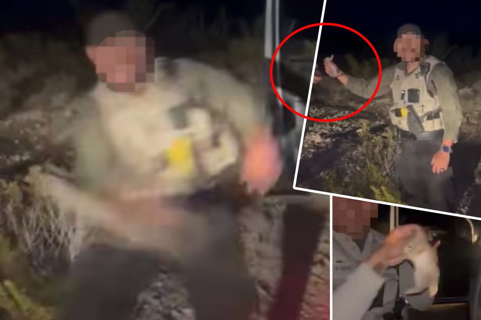 Hasenbaby gegen Polizeiauto geworfen: Tierquäler-Cop aus Kill-Video gefeuert