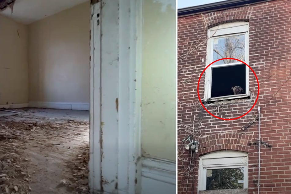 Frau geht an verlassenem Haus vorbei: Dann erblickt sie plötzlich ein Gesicht am Fenster