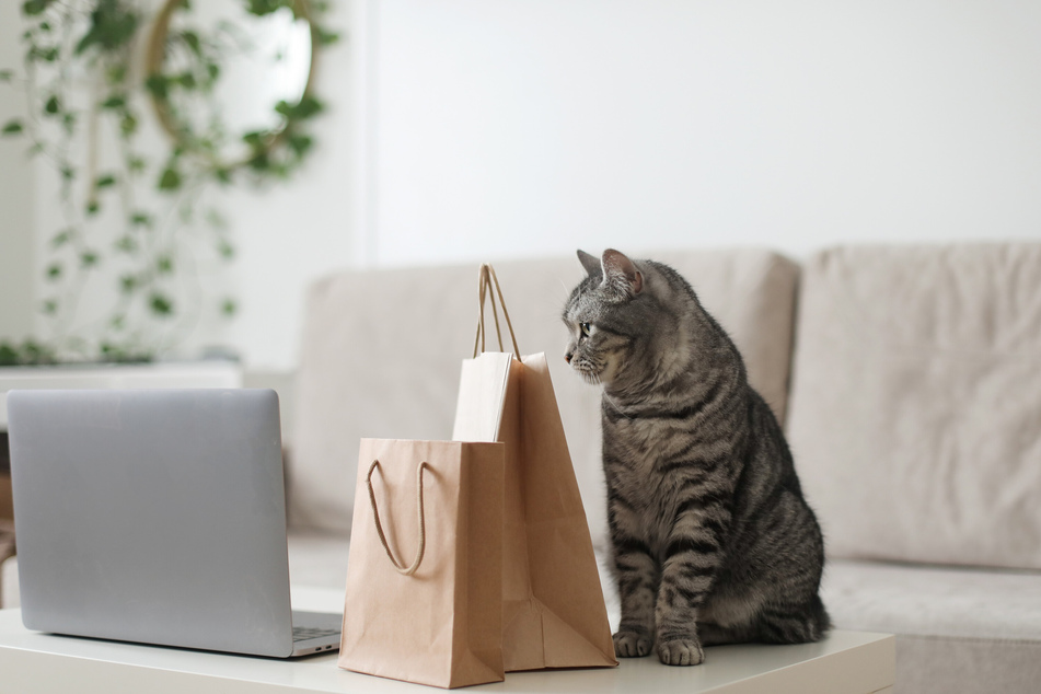 Stöbert Euch durch die zahlreichen Shoppingtipps für Eure Haustiere.
