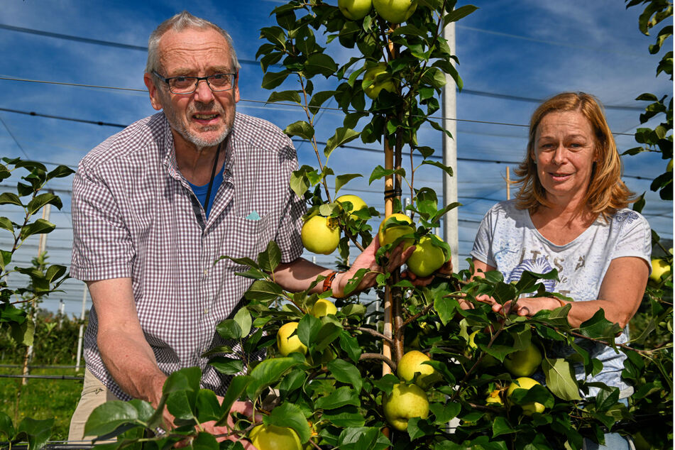 Andreas Peil (63) und Sylvia Metzner (60) sind die Apfel-Experten von Pillnitz.