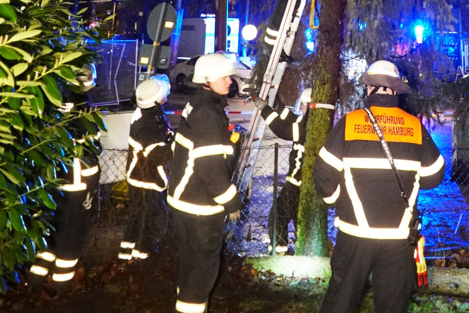 An der U-Bahn-Linie U4 in Hamburg-Horn musste die Feuerwehr eine zwölf Meter große Tanne absichern, die drohte, auf eine Baustelle zu fallen.