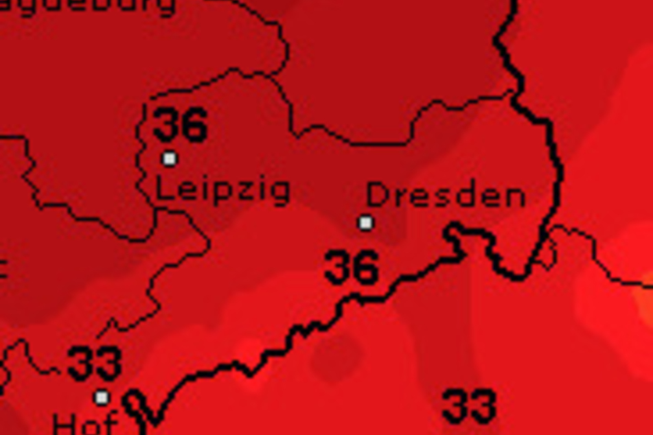 Bei knapp unter 40 Grad werden die Höchstwerte am Donnerstag in Sachsen liegen.