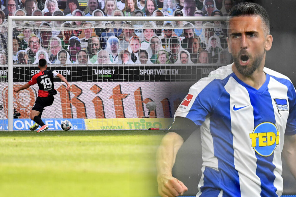 Vedad Ibisevic trifft zum 2:1.