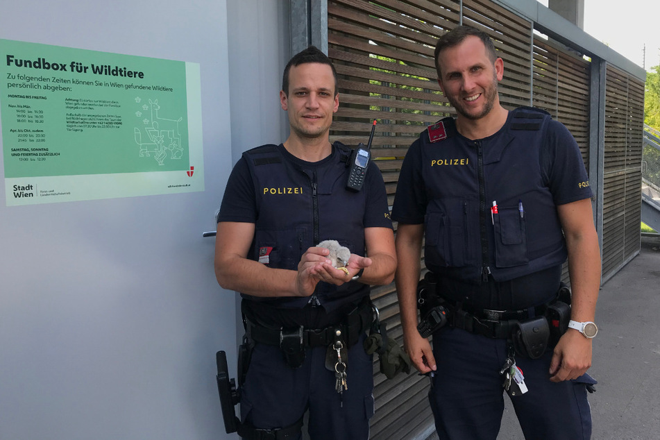Die Tierfreunde von der Wiener Polizei leisteten erste Hilfe bei dem gefundenen Jungvogel.
