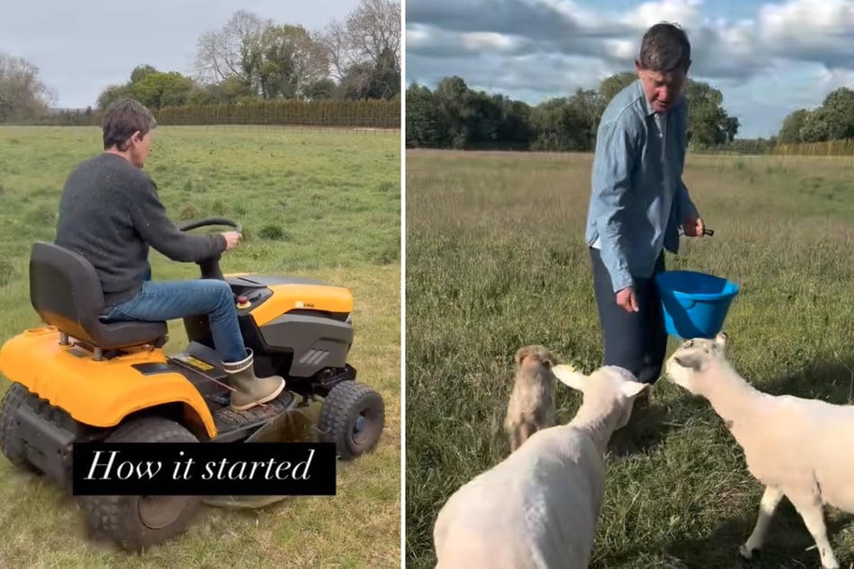 The former talk show host gives insights into her new country life on social media.