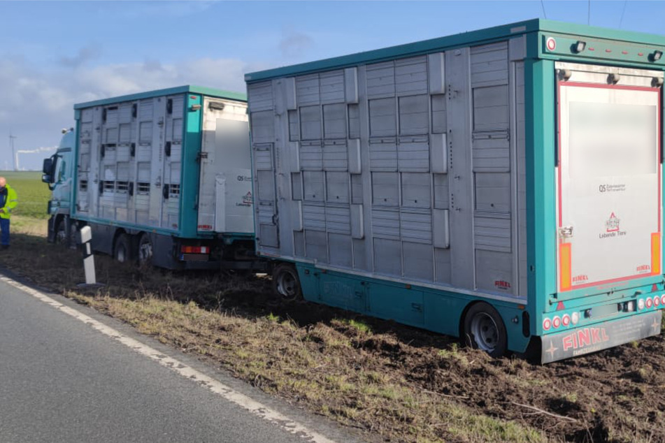 Saalekreis: Viehtransporter steckt in Graben fest, B91 sechs Stunden lang gesperrt
