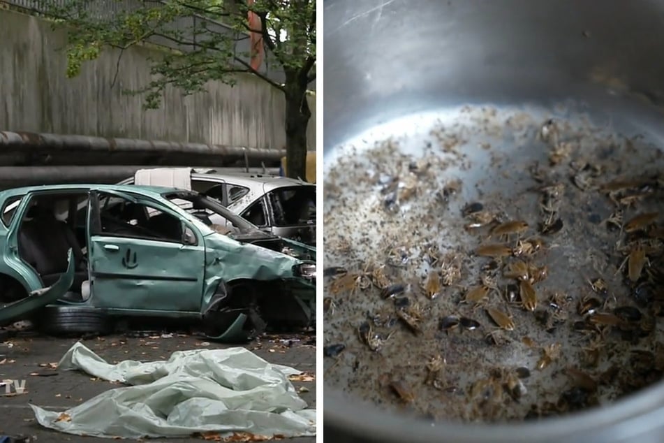 Das Hochhaus wird als Schrottplatz verwendet und zieht viel Ungeziefer an.