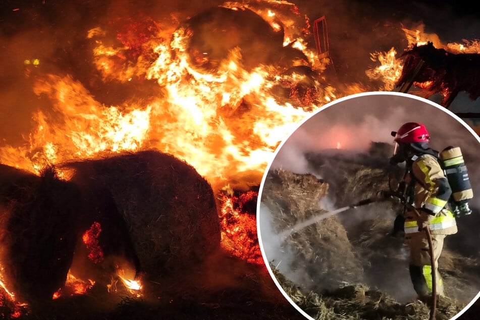Feuer auf Reiterhof in NRW: Polizei geht von Brandstiftung aus