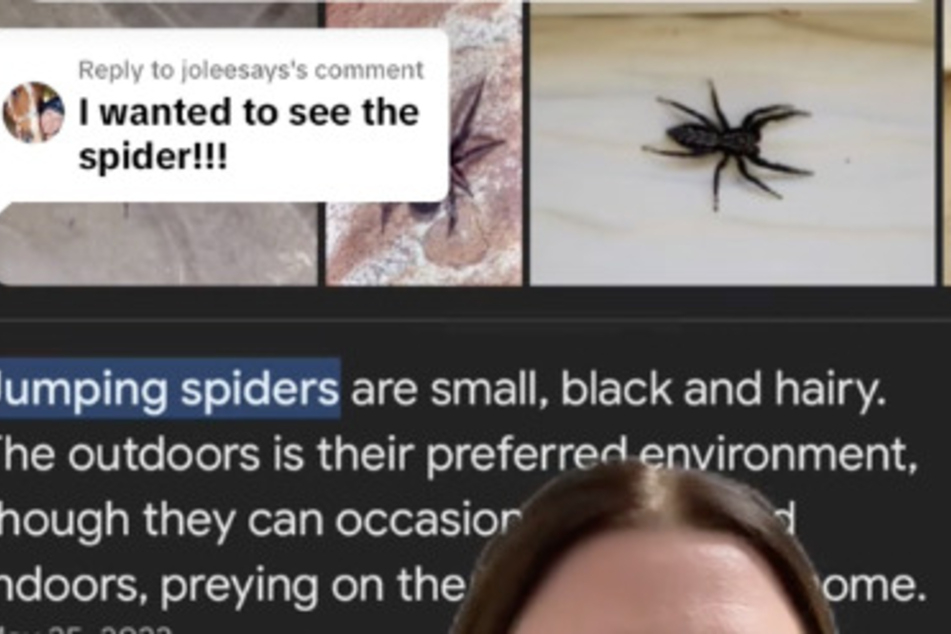 In einem Video teilte sie schließlich einen Screenshot: Eine Spinne dieser Art steckte in ihrem Ohr.