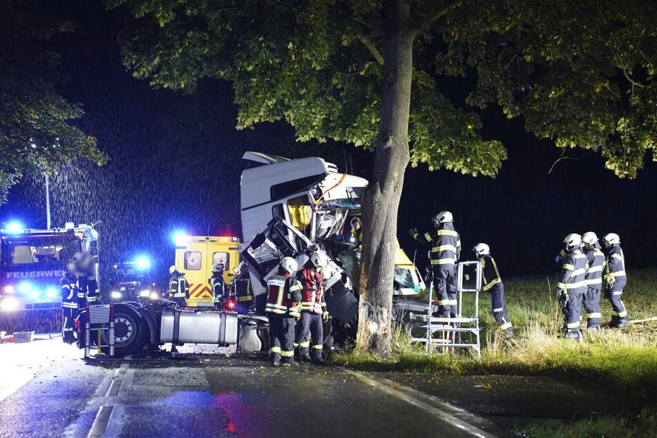 Die Zugmaschine prallte gegen eine Eiche.
