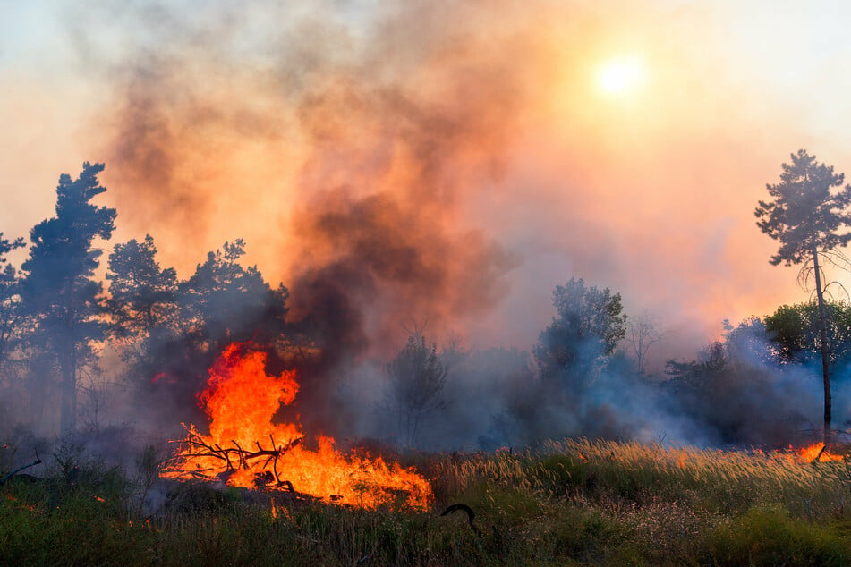 Wildfire season is starting earlier every year in the US (stock image).