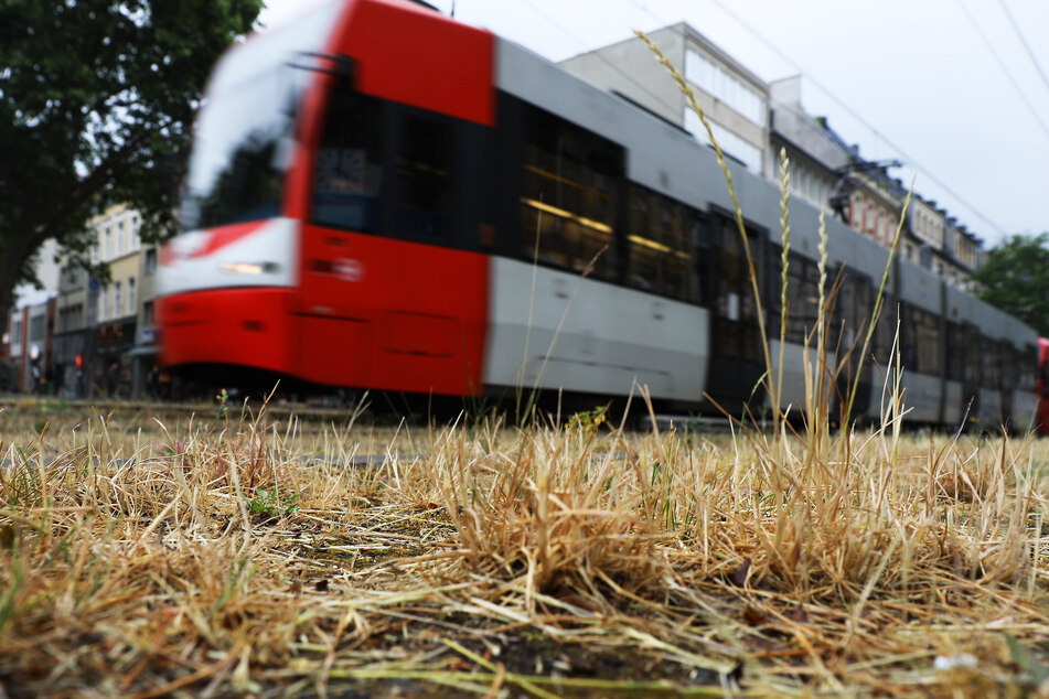In Köln-Braunsfeld ist es zu einem Unfall zwischen einem Auto und einer Stadtbahn gekommen. (Symbolbild)