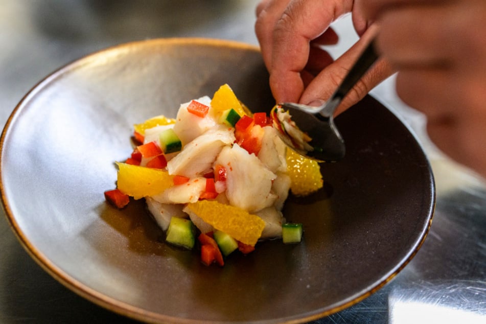 Unter anderem steht Ceviche mit Gurken-Paprika-Salat und Orange auf der Karte.