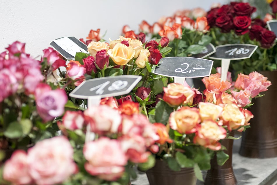 Floristen für Valentinstag gewappnet: Diese Blumen sind am beliebtesten