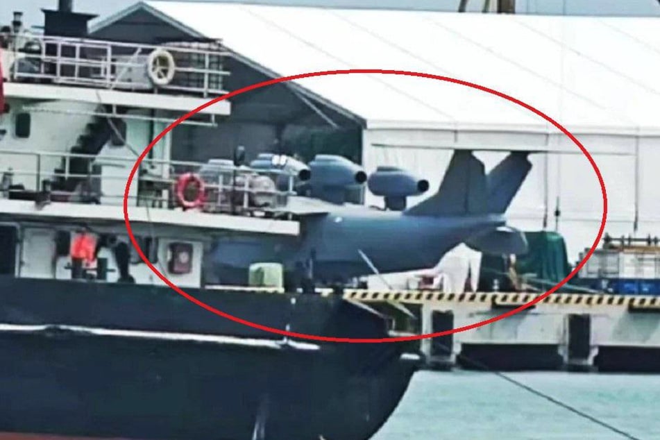 Das Leitwerk des "Bohai Seemonsters" ist ungewöhnlich.