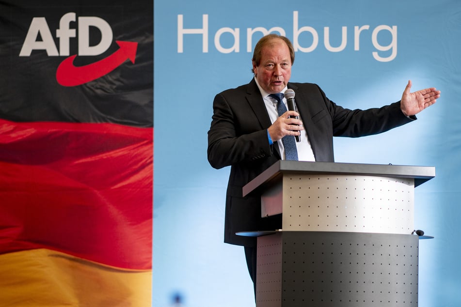 Dirk Nockemann, Landesvorsitzender der AfD Hamburg, spricht bei einer Veranstaltung.