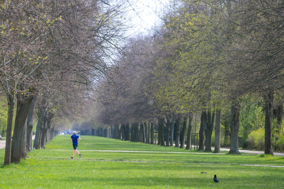 Im Großen Garten wurde der Mann Opfer des Raubs.