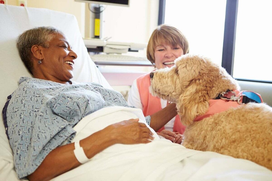 There are a variety of ways a therapy dog can be used in recovery.