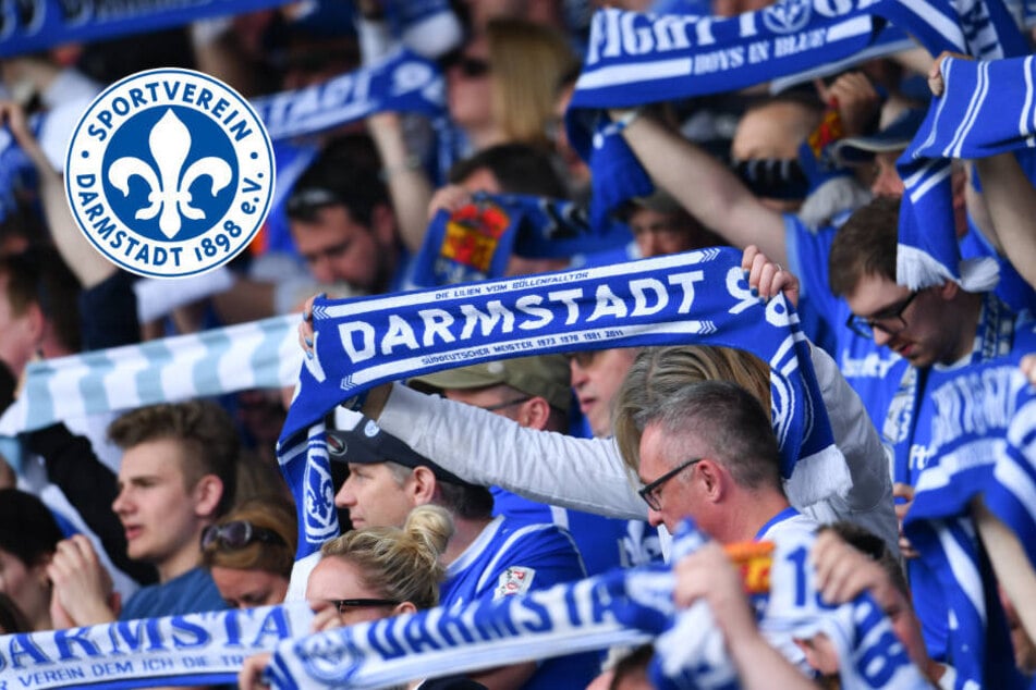 Nach Augsburg-Debakel gehen Darmstadt-Fans aufeinander los: Das sagen die Ultras dazu
