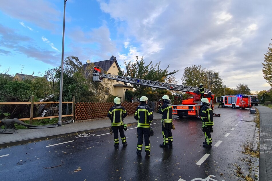 In Leipzig-Engelsdorf war eine Birke auf ein Einfamilienhaus gestürzt.