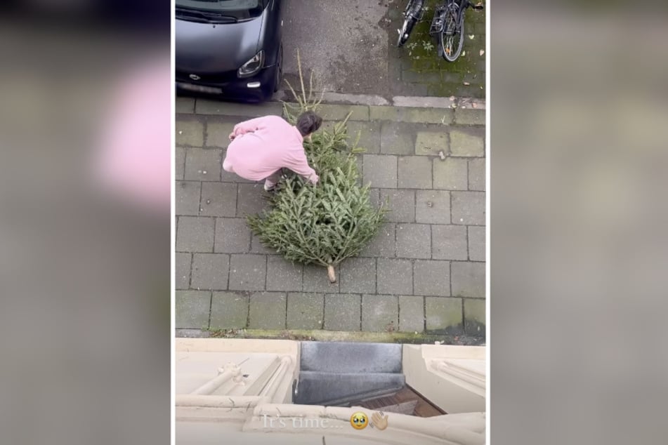 Jennifer Zander (30) schmiss zuletzt nicht nur Ehemann Darius (41), sondern auch den Weihnachtsbaum raus.