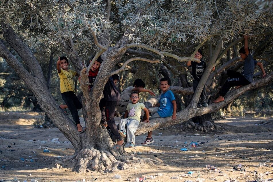 Children play on an olive tree at the al-Maghazi Palestinian refugee camp in the central Gaza Strip.