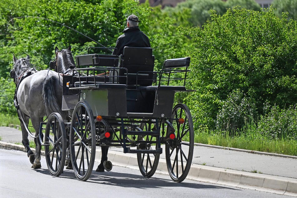 Aufgrund des jüngsten Unfalls fordert die Tierschutzorganisation PETA ein Verbot von Pferdekutschen. (Symbolfoto)