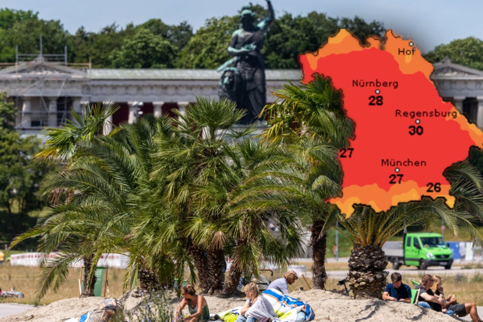 Sonne genießen: Eine Mini-Oase mit Palmen wurden vom Umweltverein Green City und die Stadt München auf einem Teil der Theresienwiese aufgebaut. (Bildmontage)
