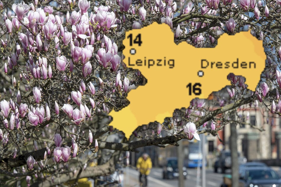 Langsam kehrt der Frühling in Sachsen ein: Das Osterwochenende wird schön!