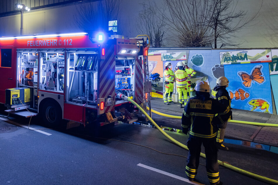 Nach verheerendem Feuer: Kölner Zoo meldet mehr als 130 tote Tiere!