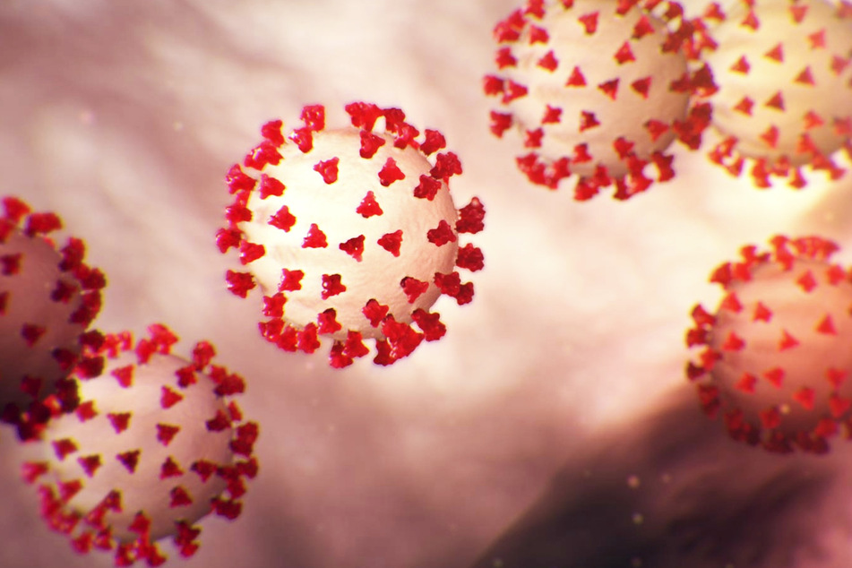 Das Coronavirus sorgt für merkwürdige Nachfrageverhältnisse. (Illustration)