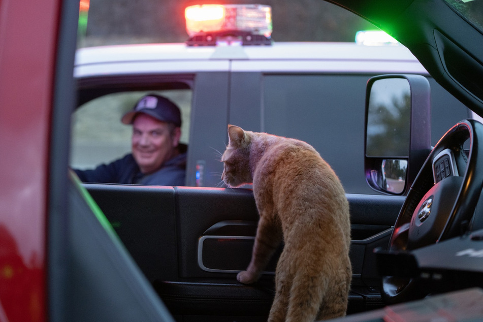 The cat now lives with a firefighter who responded to the scene.