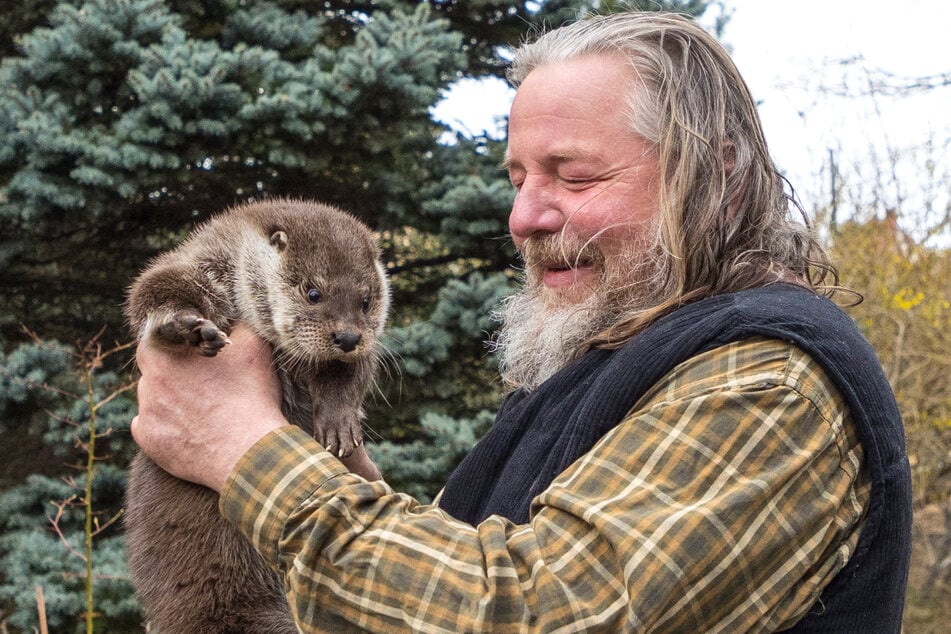 Fischotter-Dame Erika hat Falkner Peter Schaaf (54) dank Handaufzucht ihr Leben zu verdanken.