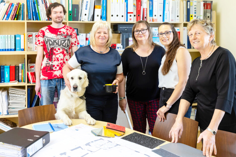 Das Team der Steinert Ingenieurgesellschaft und Bürohund Flocke freuen sich auf Deine Bewerbung.