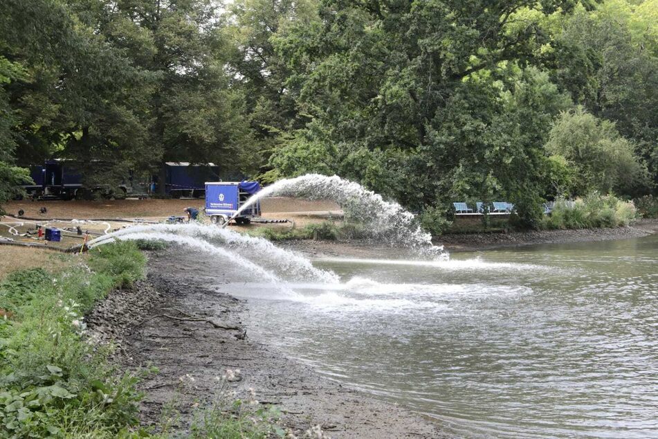 Die Arbeiten am Inselteich sind beendet, es kann wieder Wasser eingelassen werden.
