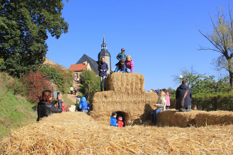 Das Schloss Rochlitz bietet auch in diesen Herbstferien wieder ein buntes Programm an.  (Archive image)