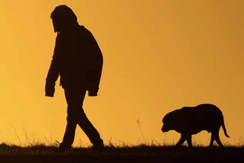 Frau nimmt Hund einfach mit: Was sie dann tut, macht nur sprachlos