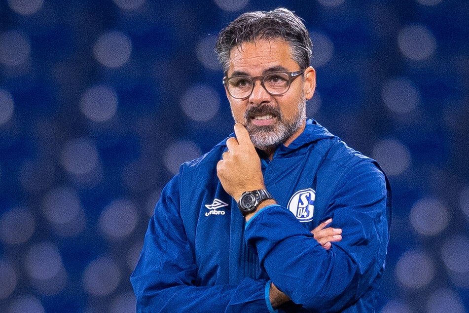 Soll künftig die Jugendarbeit bei RB Leipzig leiten: Ex-Schalke-Coach David Wagner (53). (Archivfoto)