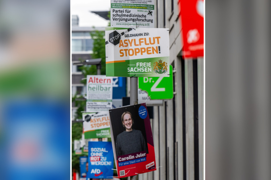 Im Dschungel der Wahlplakate tauchen auch Parteien auf, von denen die wenigsten je gehört haben.