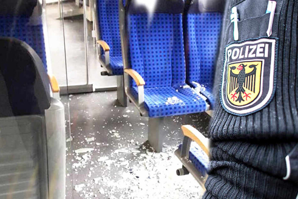 In einem S-Bahn-Zug randalierten am 15. Februar mehrere Männer.