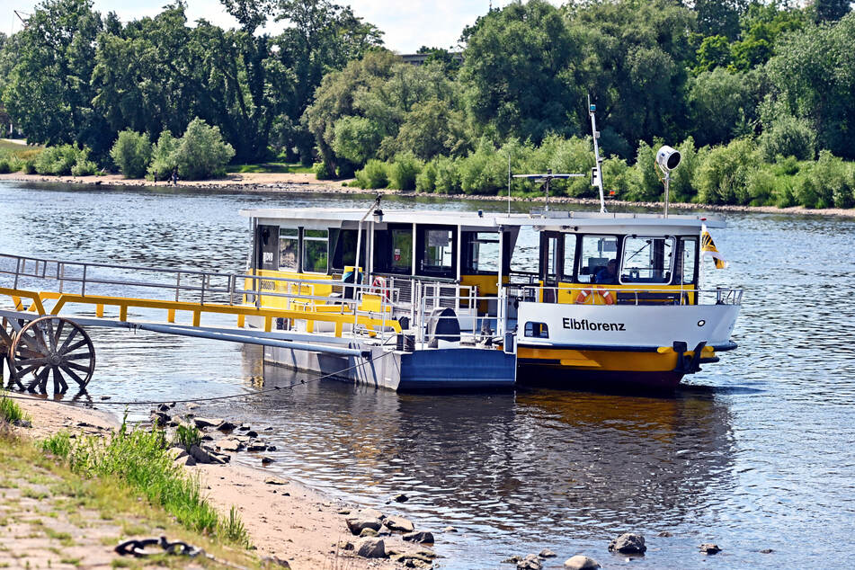 An der Fährstelle zwischen Johannstadt und Neustadt fährt seit Montag die "Elbflorenz".