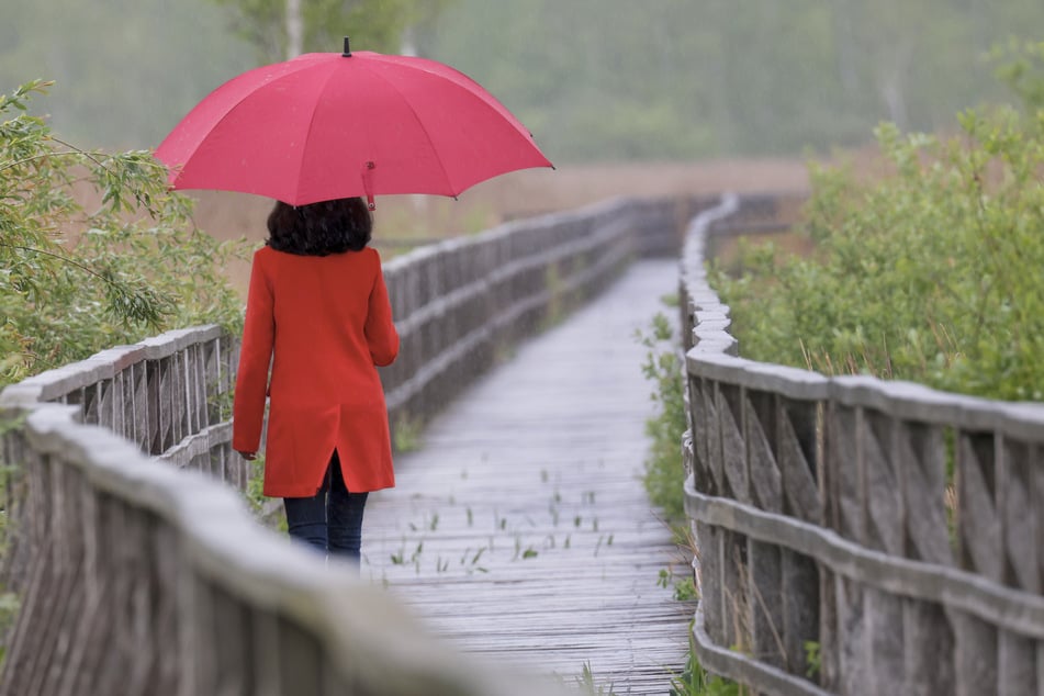 Für die kommende Woche ist Regenschirm-Wetter angesagt! (Symbolbild)