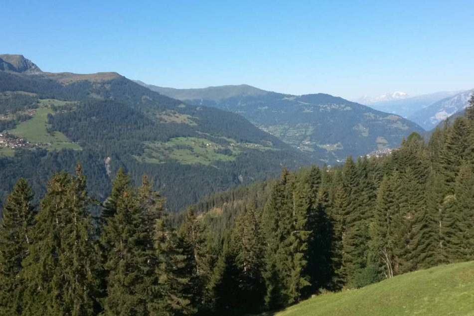 In der Nähe der Schweizer Stadt Chur wurde ein verwester Unterschenkel einer seit August 2017 vermissten Stuttgarterin gefunden.