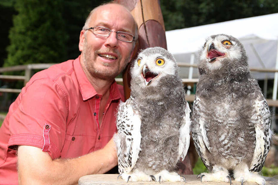 Tierpark-Chef Heiko Drechsler (54) mit seinen zahmen Zöglingen Harry und Hermine.