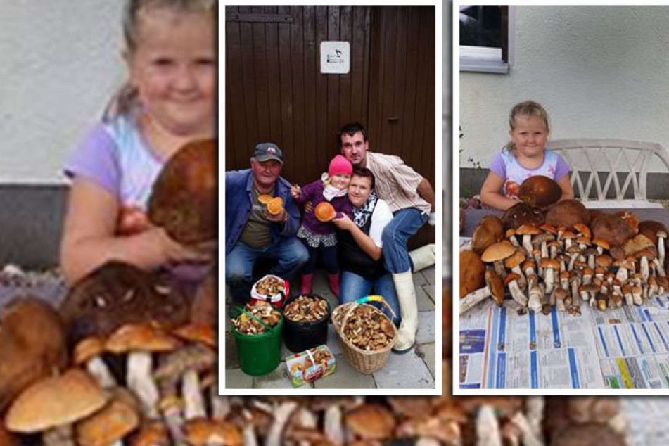 Familie Jähn und ihre sensationelle Pilzsammlung.